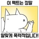 에이비엑스 | 성장 운0진 강아지냠냠] 열반기초반 4주차 양파링님, 주우이 강의 후기 : 후회를 반복하지 않기 위한 길!
