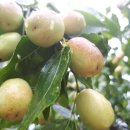 동창펜션 이미지