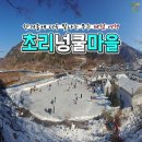 초리