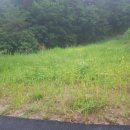 해피데이공인중개사사무소 이미지