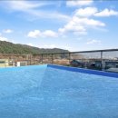 아모르 루시 이미지