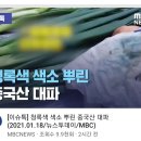 안락상가시장 이미지