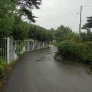 뉴스타법원경매공인중개사사무소 이미지