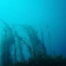 독도앞바다 이미지