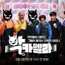 펠라 이미지