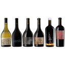 제이씨스 이미지