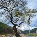 용덕면사무소 이미지