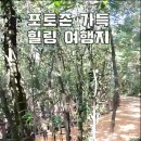 제주 서쪽 반딧불이들이 많이 보이는 청수리에있는 산양큰엉곶 이미지