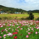 코스모스모텔 이미지