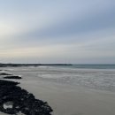 세화환승정류장 이미지