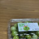 레플REPL 이미지