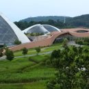 느티골길 이미지