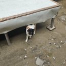 신진도민박 이미지