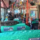 수원-1851 이미지