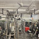 발리휘트니스 이미지