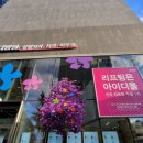 아이디올 스포츠경향