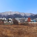 어래산성 Daum카페