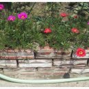 소 외양간 이미지