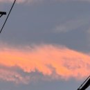 역도회관옆 이미지