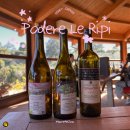 즐거운 영어동화(A) | 부모님과 함께한 토스카나 몬탈치노 와이너리 투어 후기 - Podere Le Ripi