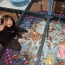 효키즈태권도 이미지