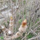 은현농장 이미지