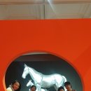 민화모란도 이미지