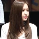 덴헤어 이미지