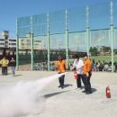 송지초등학교 이미지