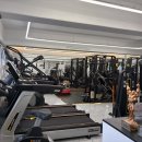 트루머슬짐 이미지