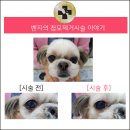 해운대플러스동물병원 이미지