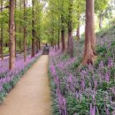 봉곡동251 이미지