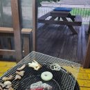 퍼니멍멍 이미지