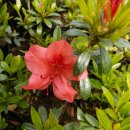 녹산농장 이미지