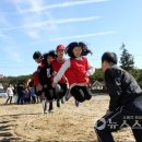 마산초등학교 이미지