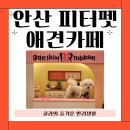 피터펫 카페 안산점 | 경기도 안산 실내애견카페 피터펫 후기(전문요리사, 주차, 음식, 미용, 유치원, 호텔링)