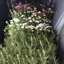 오산시 양산도서관 이미지