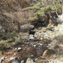 만추의 전원 이미지