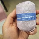 몽몽(MongMong) 이미지