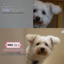 배티농장 이미지