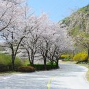 클라우드 골프클럽 이미지