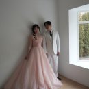 변형 | W6. 웨딩 촬영 헤어 변형 후기 '헤일링'