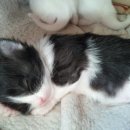 엄마라는이름으로 이미지