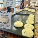 용두산오토캠핑장 이미지