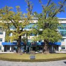 화순고려병원 이미지