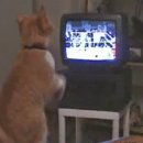 복싱 매니아 이미지