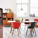 지아 애견샵 이미지