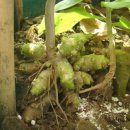 삼칠슈퍼 이미지