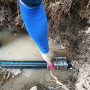 시청남로 이미지