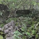 제주 4·3 수악주둔소 이미지